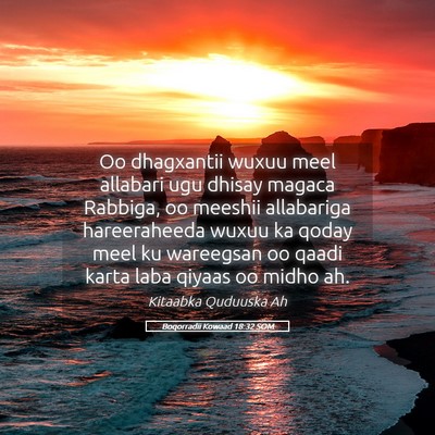 Picture 05 - Boqorradii Kowaad 18:32 SOM - Oo dhagxantii wuxuu meel allabari ugu dhisay - Bible Verse Picture