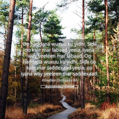 Picture 05 - Boqorradii Kowaad 18:34 SOM - Oo haddana wuxuu ku yidhi, Sidii oo kale mar - Bible Verse Picture