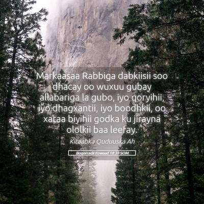 Picture 05 - Boqorradii Kowaad 18:38 SOM - Markaasaa Rabbiga dabkiisii soo dhacay oo wuxuu - Bible Verse Picture