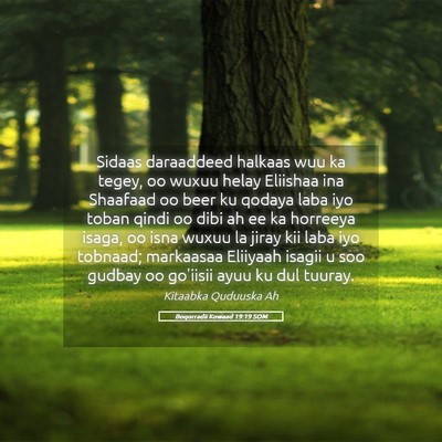 Picture 05 - Boqorradii Kowaad 19:19 SOM - Sidaas daraaddeed halkaas wuu ka tegey, oo wuxuu - Bible Verse Picture