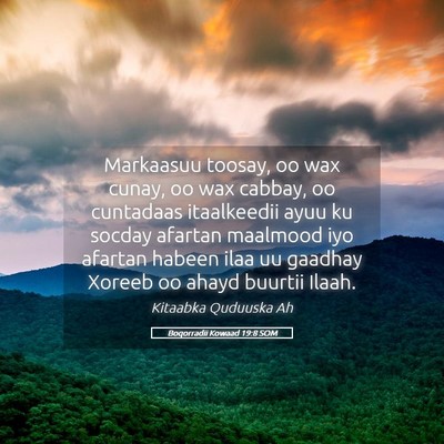 Picture 05 - Boqorradii Kowaad 19:8 SOM - Markaasuu toosay, oo wax cunay, oo wax cabbay, oo - Bible Verse Picture