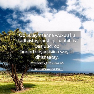 Picture 05 - Boqorradii Kowaad 2:12 SOM - Oo Sulaymaanna wuxuu ku fadhiistay carshigii - Bible Verse Picture