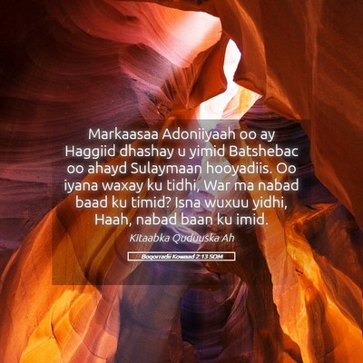 Picture 05 - Boqorradii Kowaad 2:13 SOM - Markaasaa Adoniiyaah oo ay Haggiid dhashay u - Bible Verse Picture
