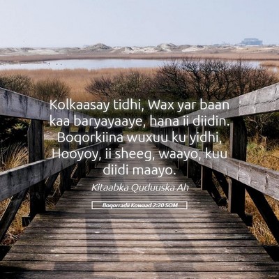 Picture 05 - Boqorradii Kowaad 2:20 SOM - Kolkaasay tidhi, Wax yar baan kaa baryayaaye, - Bible Verse Picture