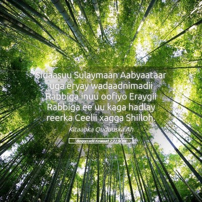 Picture 05 - Boqorradii Kowaad 2:27 SOM - Sidaasuu Sulaymaan Aabyaataar uga eryay - Bible Verse Picture