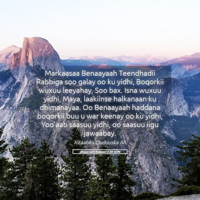 Picture 05 - Boqorradii Kowaad 2:30 SOM - Markaasaa Benaayaah Teendhadii Rabbiga soo galay - Bible Verse Picture