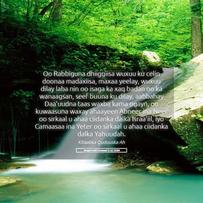 Picture 05 - Boqorradii Kowaad 2:32 SOM - Oo Rabbiguna dhiiggiisa wuxuu ku celin doonaa - Bible Verse Picture