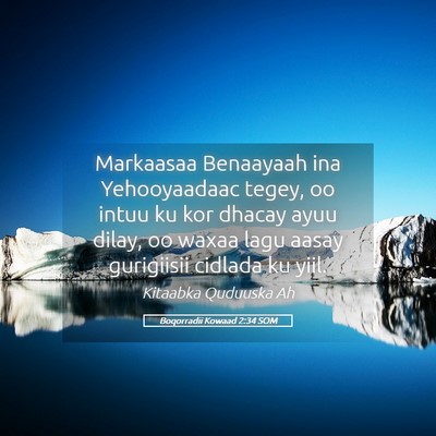 Picture 05 - Boqorradii Kowaad 2:34 SOM - Markaasaa Benaayaah ina Yehooyaadaac tegey, oo - Bible Verse Picture