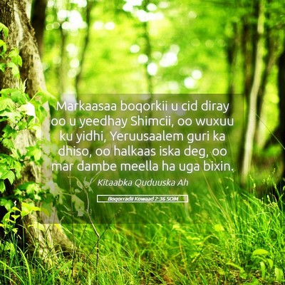 Picture 05 - Boqorradii Kowaad 2:36 SOM - Markaasaa boqorkii u cid diray oo u yeedhay - Bible Verse Picture