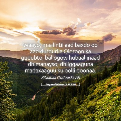 Picture 05 - Boqorradii Kowaad 2:37 SOM - Waayo, maalintii aad baxdo oo aad durdurka - Bible Verse Picture