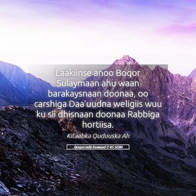 Picture 05 - Boqorradii Kowaad 2:45 SOM - Laakiinse anoo Boqor Sulaymaan ahu waan - Bible Verse Picture