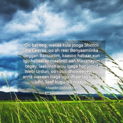 Picture 05 - Boqorradii Kowaad 2:8 SOM - Oo bal eeg, waxaa kula jooga Shimcii ina Geeraa, - Bible Verse Picture