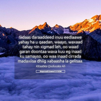 Picture 05 - Boqorradii Kowaad 2:9 SOM - Sidaas daraaddeed inuu eedlaawe yahay ha u - Bible Verse Picture