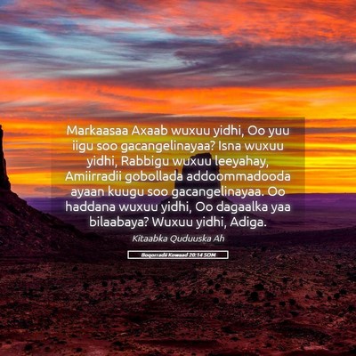 Picture 05 - Boqorradii Kowaad 20:14 SOM - Markaasaa Axaab wuxuu yidhi, Oo yuu iigu soo - Bible Verse Picture