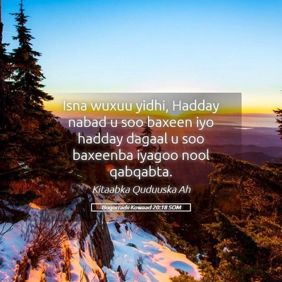 Picture 05 - Boqorradii Kowaad 20:18 SOM - Isna wuxuu yidhi, Hadday nabad u soo baxeen iyo - Bible Verse Picture