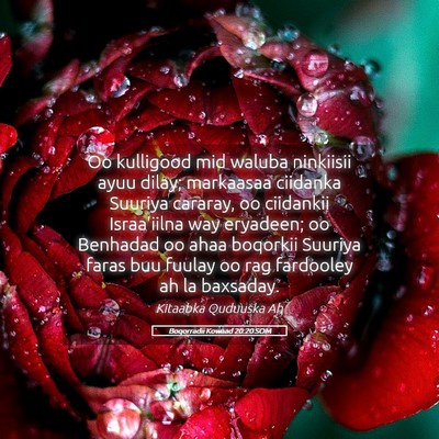 Picture 05 - Boqorradii Kowaad 20:20 SOM - Oo kulligood mid waluba ninkiisii ayuu dilay; - Bible Verse Picture