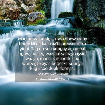 Picture 05 - Boqorradii Kowaad 20:22 SOM - Markaasaa nebigii u soo dhowaaday boqorkii dalka - Bible Verse Picture