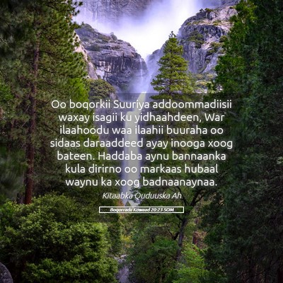 Picture 05 - Boqorradii Kowaad 20:23 SOM - Oo boqorkii Suuriya addoommadiisii waxay isagii - Bible Verse Picture