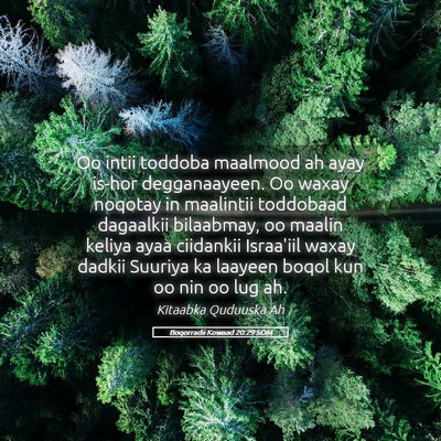 Picture 05 - Boqorradii Kowaad 20:29 SOM - Oo intii toddoba maalmood ah ayay is-hor - Bible Verse Picture
