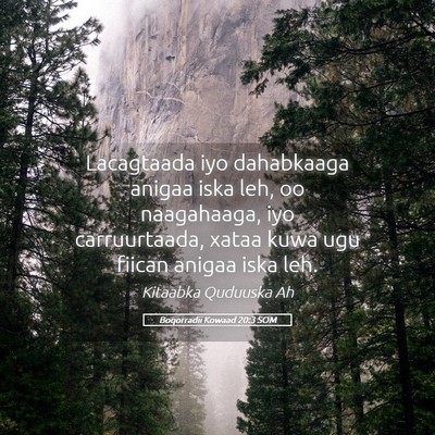 Picture 05 - Boqorradii Kowaad 20:3 SOM - Lacagtaada iyo dahabkaaga anigaa iska leh, oo - Bible Verse Picture
