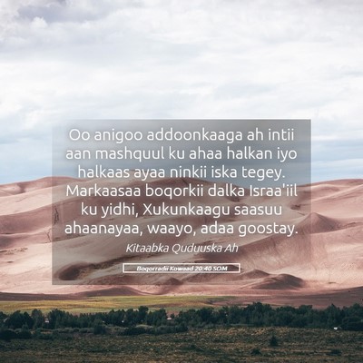 Picture 05 - Boqorradii Kowaad 20:40 SOM - Oo anigoo addoonkaaga ah intii aan mashquul ku - Bible Verse Picture