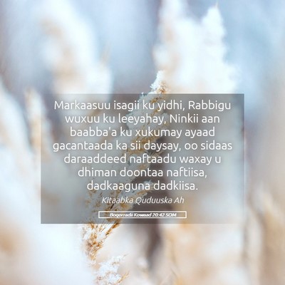 Picture 05 - Boqorradii Kowaad 20:42 SOM - Markaasuu isagii ku yidhi, Rabbigu wuxuu ku - Bible Verse Picture