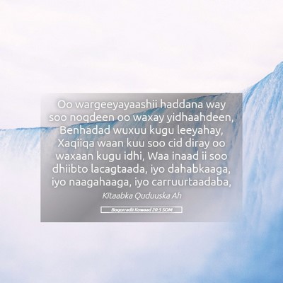 Picture 05 - Boqorradii Kowaad 20:5 SOM - Oo wargeeyayaashii haddana way soo noqdeen oo - Bible Verse Picture