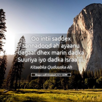 Picture 05 - Boqorradii Kowaad 22:1 SOM - Oo intii saddex sannadood ah ayaanu dagaal dhex - Bible Verse Picture