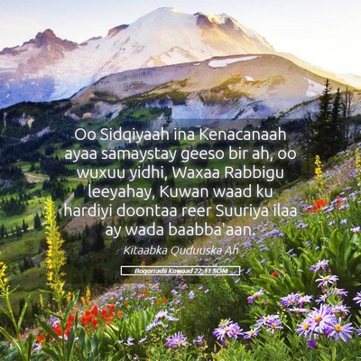 Picture 05 - Boqorradii Kowaad 22:11 SOM - Oo Sidqiyaah ina Kenacanaah ayaa samaystay geeso - Bible Verse Picture