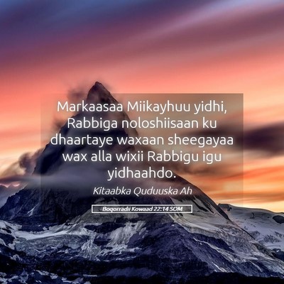 Picture 05 - Boqorradii Kowaad 22:14 SOM - Markaasaa Miikayhuu yidhi, Rabbiga noloshiisaan - Bible Verse Picture