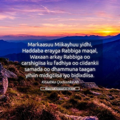 Picture 05 - Boqorradii Kowaad 22:19 SOM - Markaasuu Miikayhuu yidhi, Haddaba erayga Rabbiga - Bible Verse Picture