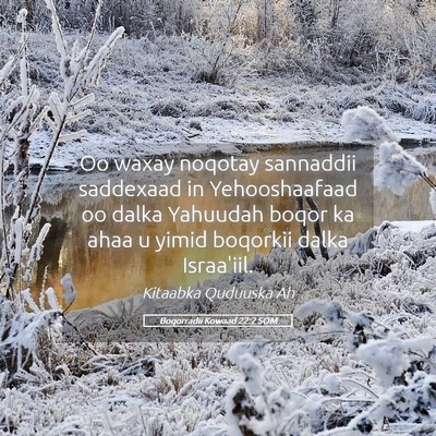 Picture 05 - Boqorradii Kowaad 22:2 SOM - Oo waxay noqotay sannaddii saddexaad in - Bible Verse Picture