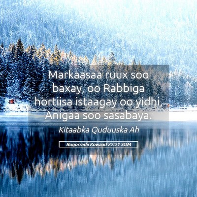 Picture 05 - Boqorradii Kowaad 22:21 SOM - Markaasaa ruux soo baxay, oo Rabbiga hortiisa - Bible Verse Picture