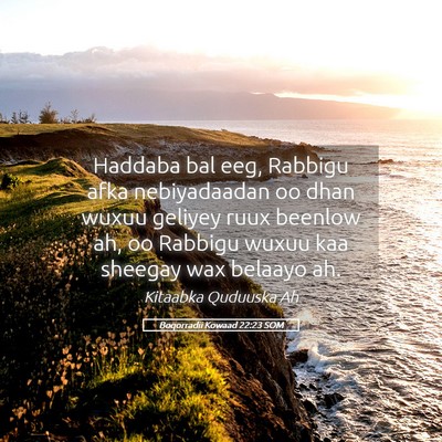 Picture 05 - Boqorradii Kowaad 22:23 SOM - Haddaba bal eeg, Rabbigu afka nebiyadaadan oo - Bible Verse Picture