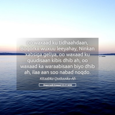 Picture 05 - Boqorradii Kowaad 22:27 SOM - oo waxaad ku tidhaahdaan, Boqorkii wuxuu - Bible Verse Picture