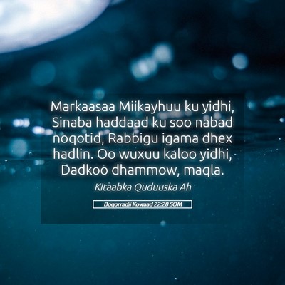 Picture 05 - Boqorradii Kowaad 22:28 SOM - Markaasaa Miikayhuu ku yidhi, Sinaba haddaad ku - Bible Verse Picture