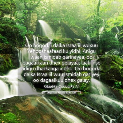 Picture 05 - Boqorradii Kowaad 22:30 SOM - Oo boqorkii dalka Israa'iil wuxuu Yehooshaafaad - Bible Verse Picture