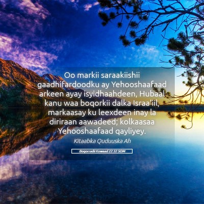 Picture 05 - Boqorradii Kowaad 22:32 SOM - Oo markii saraakiishii gaadhifardoodku ay - Bible Verse Picture
