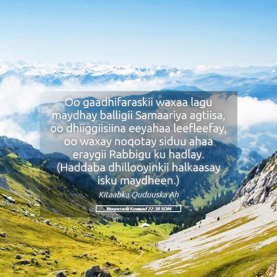 Picture 05 - Boqorradii Kowaad 22:38 SOM - Oo gaadhifaraskii waxaa lagu maydhay balligii - Bible Verse Picture