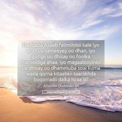 Picture 05 - Boqorradii Kowaad 22:39 SOM - Haddaba Axaab falimihiisii kale iyo wixii uu - Bible Verse Picture