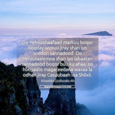 Picture 05 - Boqorradii Kowaad 22:42 SOM - Oo Yehooshaafaad markuu boqor noqday wuxuu jiray - Bible Verse Picture