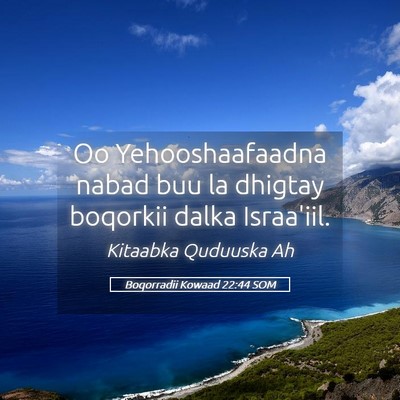 Picture 05 - Boqorradii Kowaad 22:44 SOM - Oo Yehooshaafaadna nabad buu la dhigtay boqorkii - Bible Verse Picture