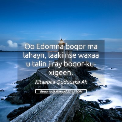 Picture 05 - Boqorradii Kowaad 22:47 SOM - Oo Edomna boqor ma lahayn, laakiinse waxaa u - Bible Verse Picture