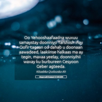 Picture 05 - Boqorradii Kowaad 22:48 SOM - Oo Yehooshaafaadna wuxuu samaystay doonniyo - Bible Verse Picture