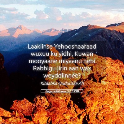 Picture 05 - Boqorradii Kowaad 22:7 SOM - Laakiinse Yehooshaafaad wuxuu ku yidhi, Kuwan - Bible Verse Picture