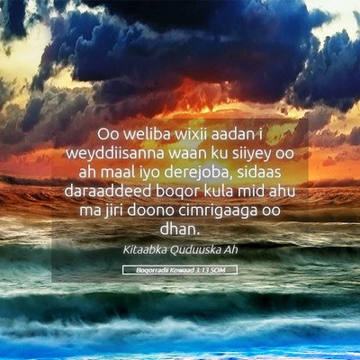 Picture 05 - Boqorradii Kowaad 3:13 SOM - Oo weliba wixii aadan i weyddiisanna waan ku - Bible Verse Picture