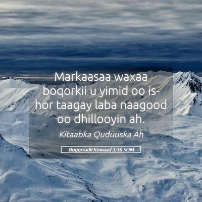 Picture 05 - Boqorradii Kowaad 3:16 SOM - Markaasaa waxaa boqorkii u yimid oo is-hor taagay - Bible Verse Picture