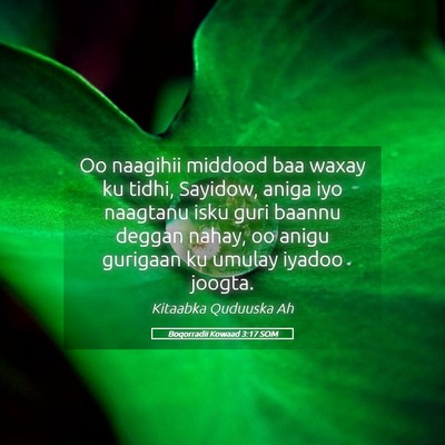 Picture 05 - Boqorradii Kowaad 3:17 SOM - Oo naagihii middood baa waxay ku tidhi, Sayidow, - Bible Verse Picture