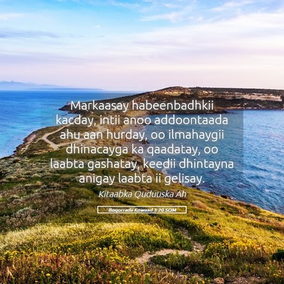 Picture 05 - Boqorradii Kowaad 3:20 SOM - Markaasay habeenbadhkii kacday, intii anoo - Bible Verse Picture