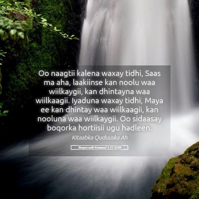 Picture 05 - Boqorradii Kowaad 3:22 SOM - Oo naagtii kalena waxay tidhi, Saas ma aha, - Bible Verse Picture